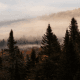 Stunning autumn mountain landscapes near Les Suites Tremblant, displaying a misty forest with dark evergreen trees in the foreground and hills covered in colorful fall foliage shrouded in fog in Mont-Tremblant, Quebec.